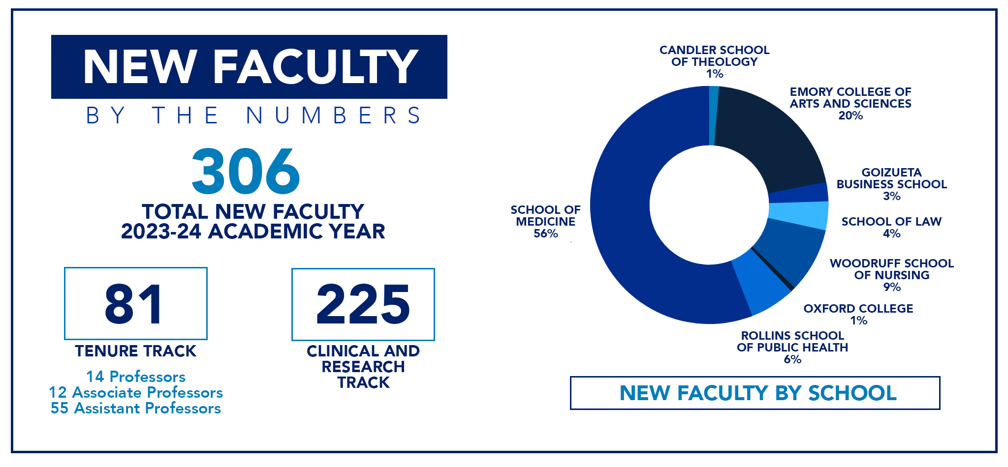 An infographic showing 306 new faculty members with 81 tenure track and 225 clinical and research track