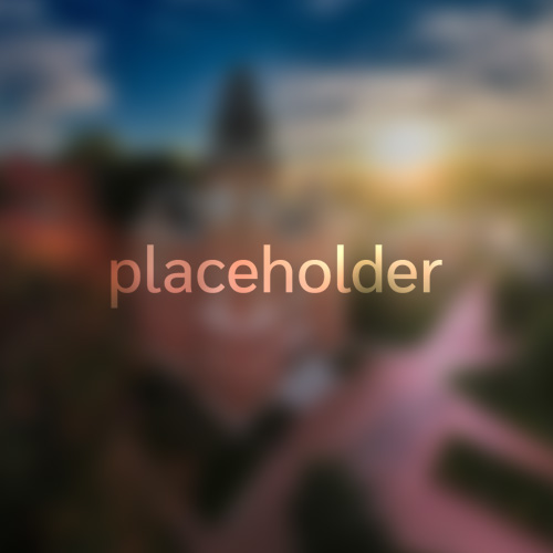placeholder